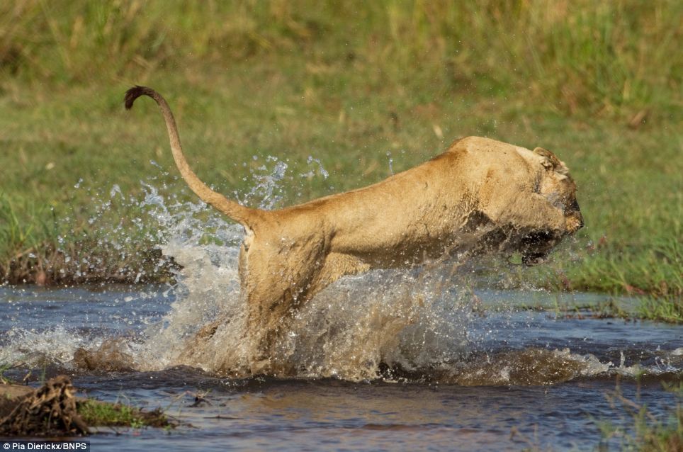 ...và[-]nhảy[-]lên[-]bờ[-]an[-]toàn